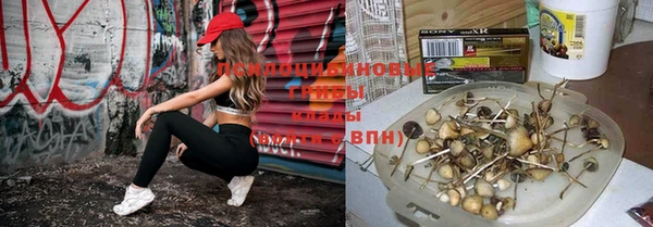 не бодяженный Каменка