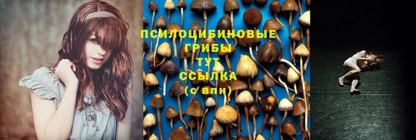 синтетический гашиш Каменногорск
